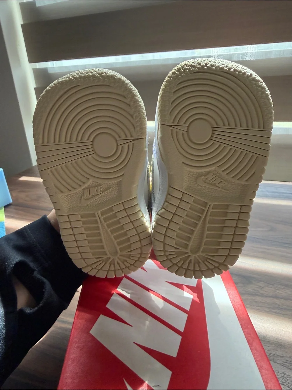 Nike Dunk Kids Low-Top Sneakers/ Box 2C